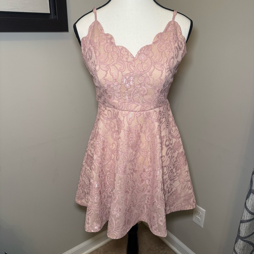 Windsor Blush Pink Lace Fit And‎ Flare Dress Size S Sweetheart Homecoming Prom